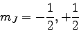 \begin{displaymath}
m_J = -{1\over 2}, +{1\over 2}
\end{displaymath}