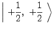 $\displaystyle \left\vert\ +{1 \over 2},\ +{1 \over 2}\ \right\rangle$